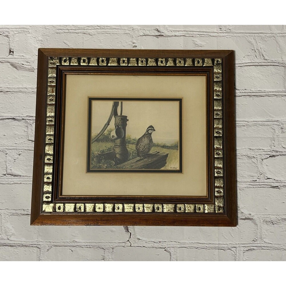 Vintage Ralph J McDonald Framed Quail Print Bobwhite Wildlife Art Signed